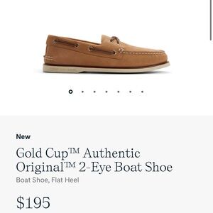 Sperry Men's Brown Boat Shoes